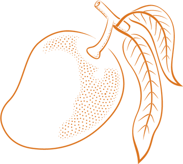 outline icon of a mango