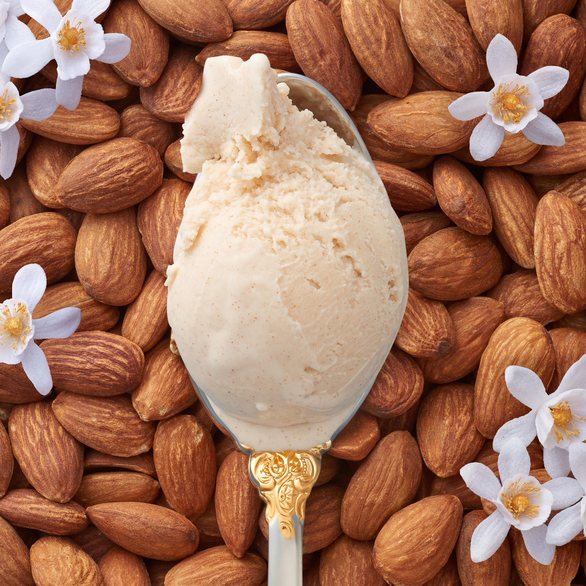A closeup of almond blossom kulfi on a silver spoon against a backdrop of almonds and blossoms