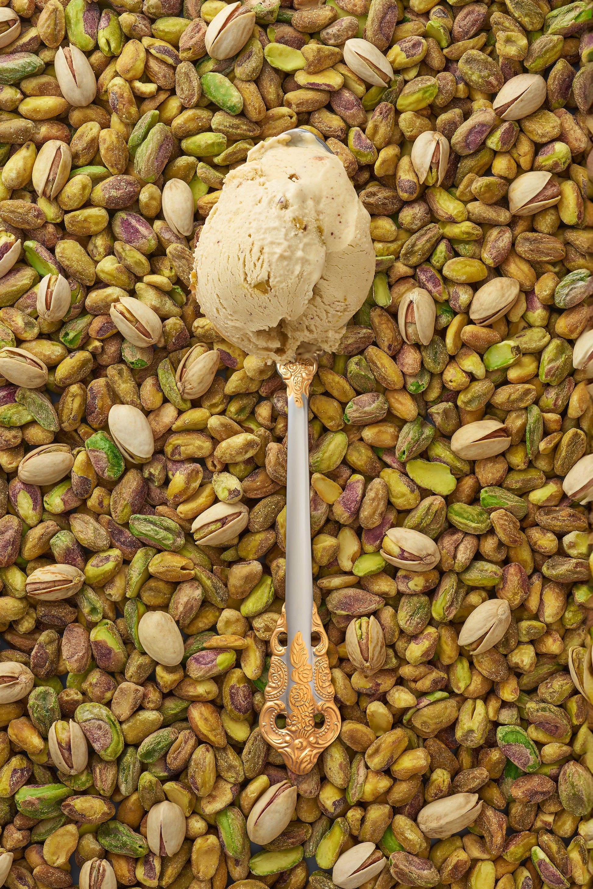 A scoop of pistachio kulfi in a silver spoon with a gold handle, surrounded by a scattering of pistachios.