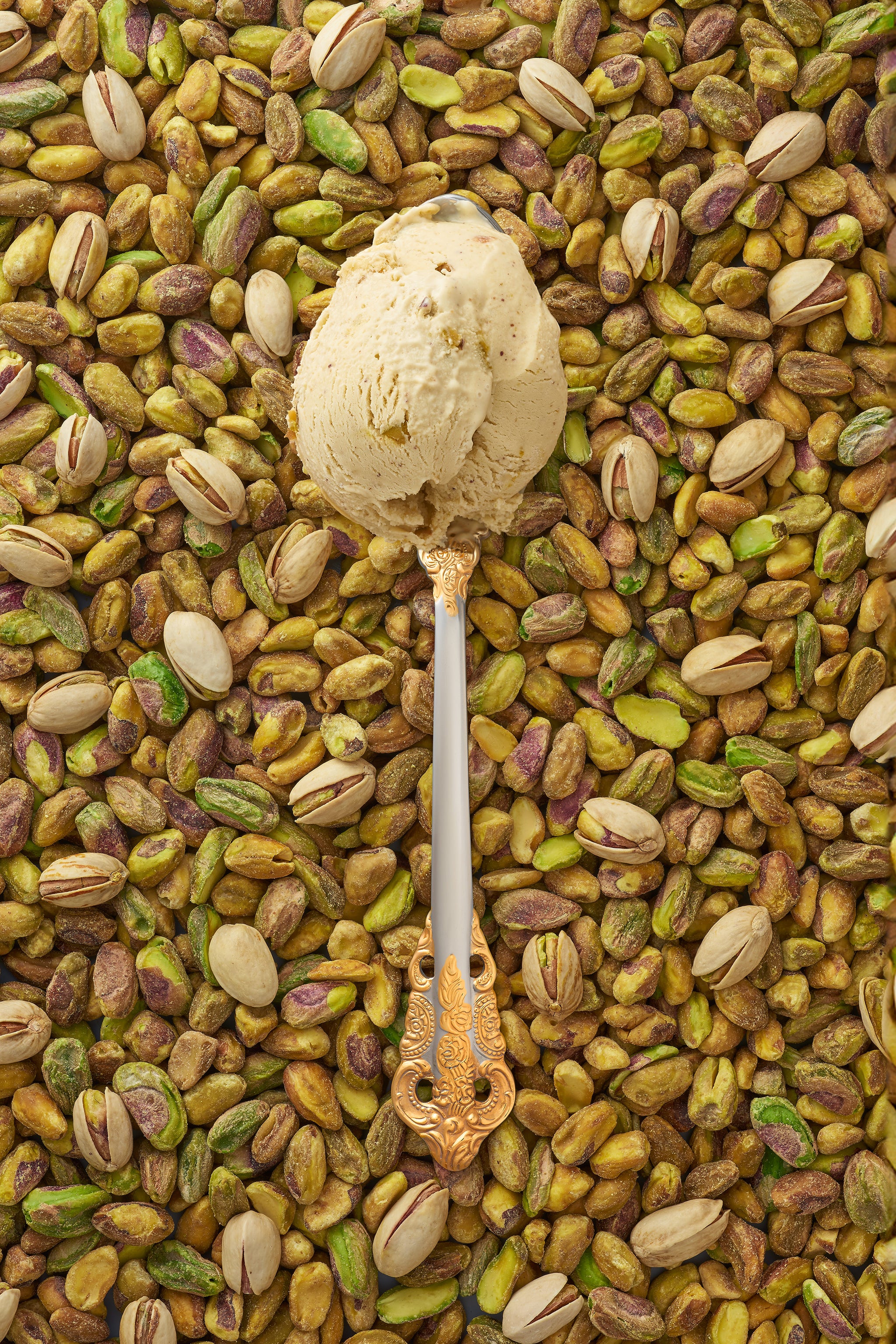 A scoop of pistachio kulfi in a silver spoon with a gold handle, surrounded by a scattering of pistachios.