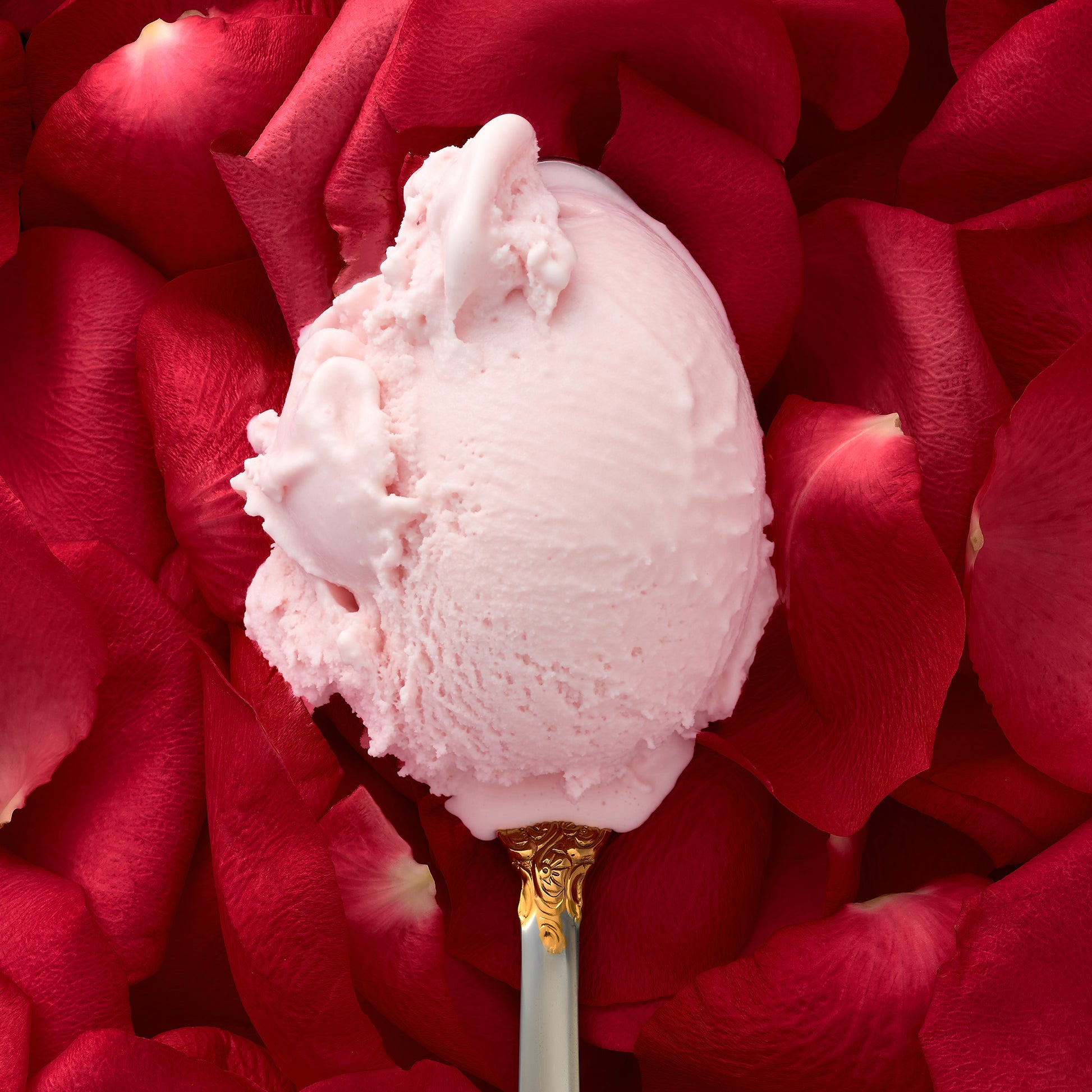 A closeup of Rosewater kulfi in a decorative spoon, with a soft focus backdrop of scattered rose petals.