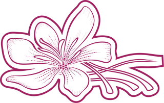 Saffron