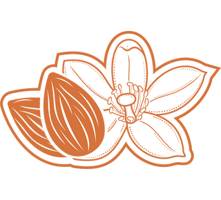 Almond Blossom