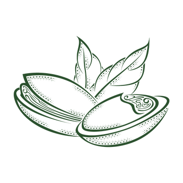 outline icon of an open pistachio