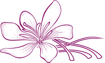 outline icon of a saffron flower